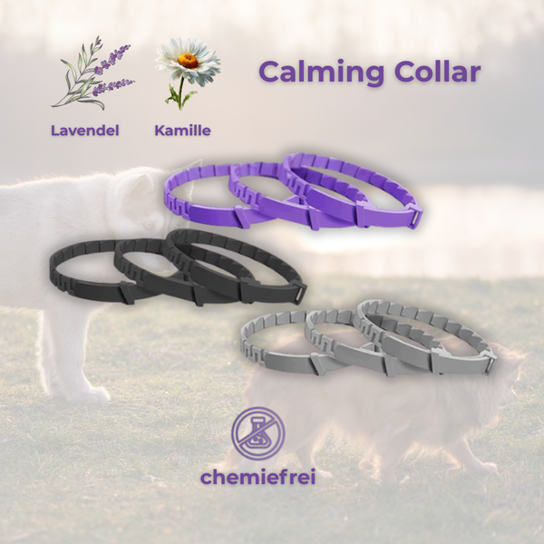 Calming Collar.png