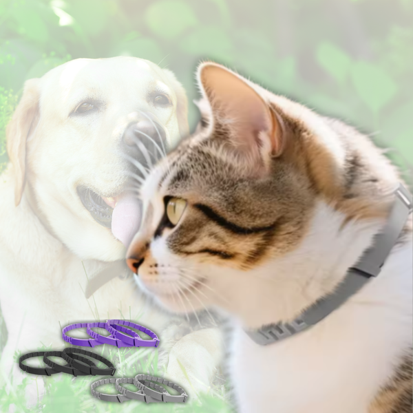 Beruhigungs-Halsband für Katzen
